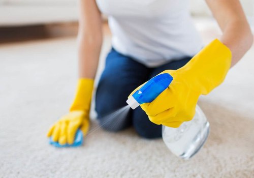 Other Brands and Options for Stain Protection for Carpets